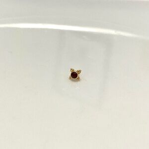 BVLA Rhodolite Mini Kandy Threadless End in 14k Solid Yellow Gold